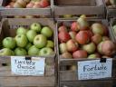 Heirloom Apples for Sale