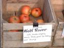 Photo of Wolf River Apples