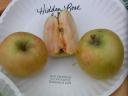 Hidden Rose Antique Apple Photo