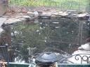 Backyard Pond Netting