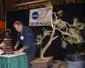 Bonsai Demonstration