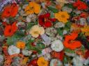 Garden Salad with Edible Nasturtiums