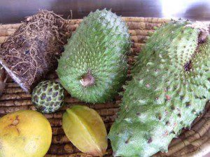 caribbean-fruits