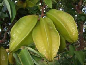 starfruit