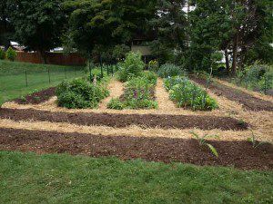 raised-bed-garden