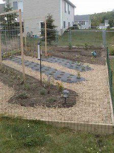 New-Backyard-Garden