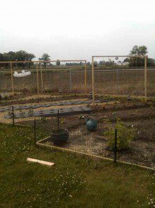 New-Veggie-Garden