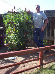 John-and-Tomato-Trellis