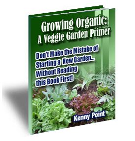 Veggie Garden Primer Cover