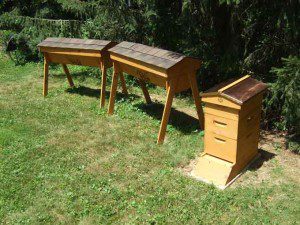 Veggie Gardening Tips Apiary