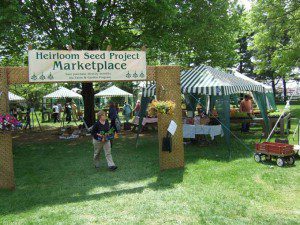 Heirloom Seed Project