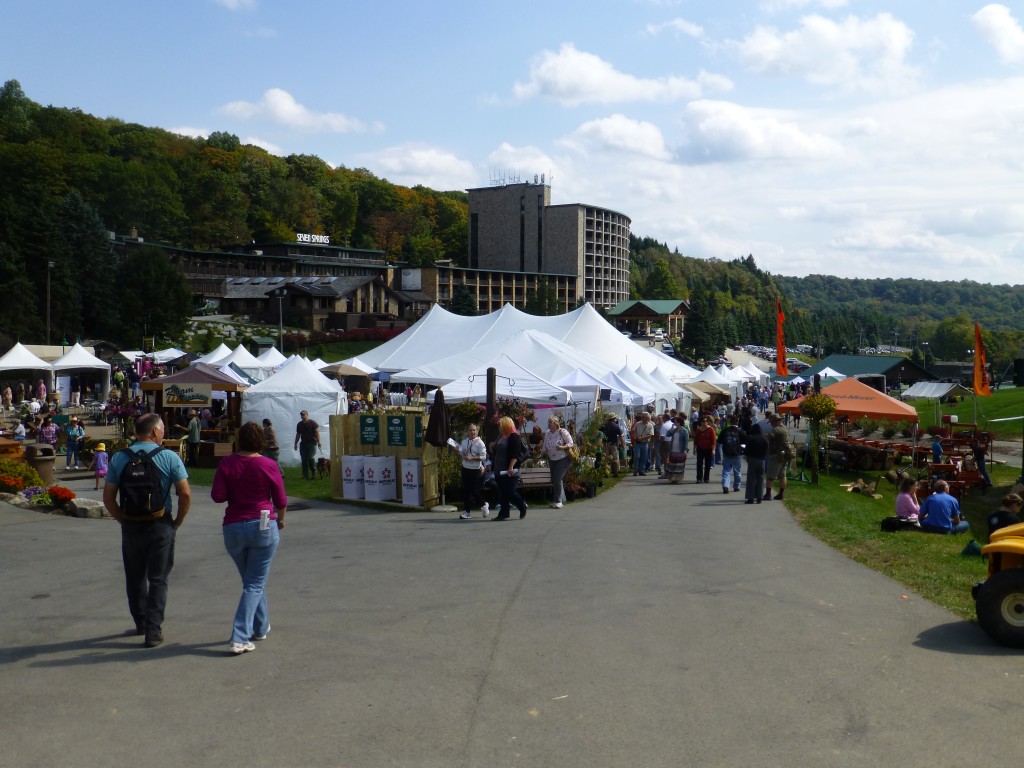 Seven Springs Resort