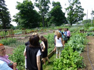 Garden Tour