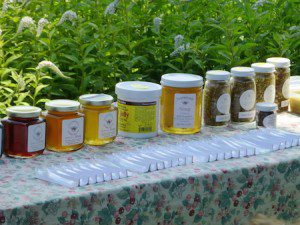 Honey Samples